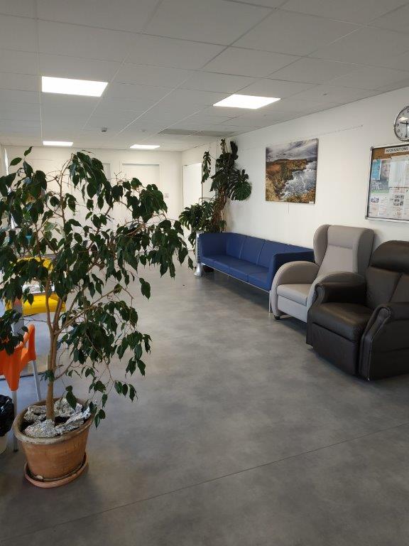 Salon lumineux avec un canapé bleu, des fauteuils et de grandes plantes